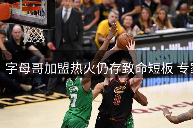 字母哥加盟热火仍存致命短板 专家解析后场隐患如何制约争冠前景