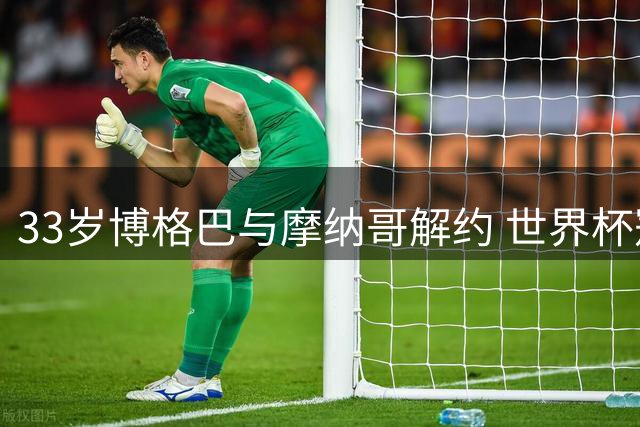 33岁博格巴与摩纳哥解约 世界杯冠军陷生涯低谷